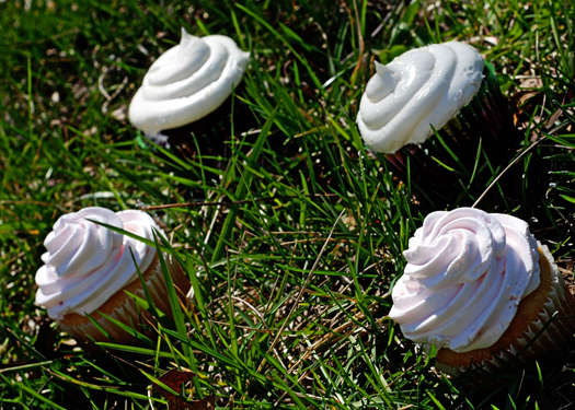 Cupcakes in grass